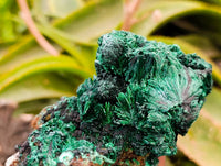 Natural Silky Malachite Specimens x 3 From Kasompe, Congo