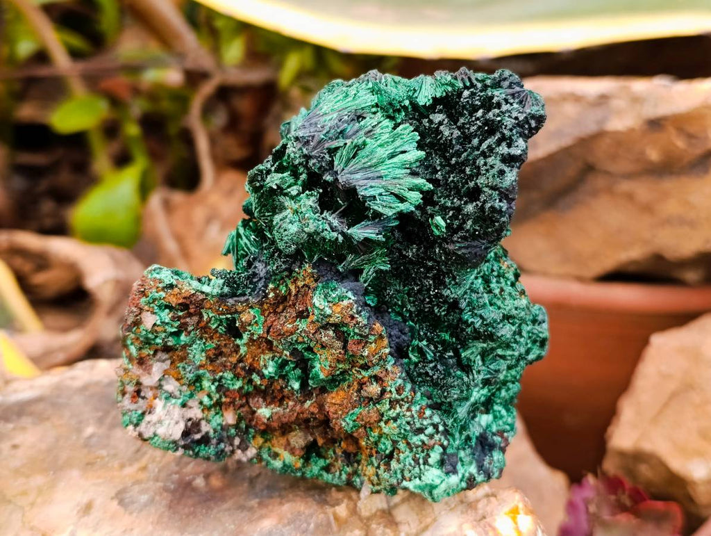 Natural Silky Malachite Specimens x 3 From Kasompe, Congo - Toprock Gemstones and Minerals 