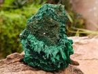 Natural Silky Malachite Specimens x 3 From Kasompe, Congo - Toprock Gemstones and Minerals 