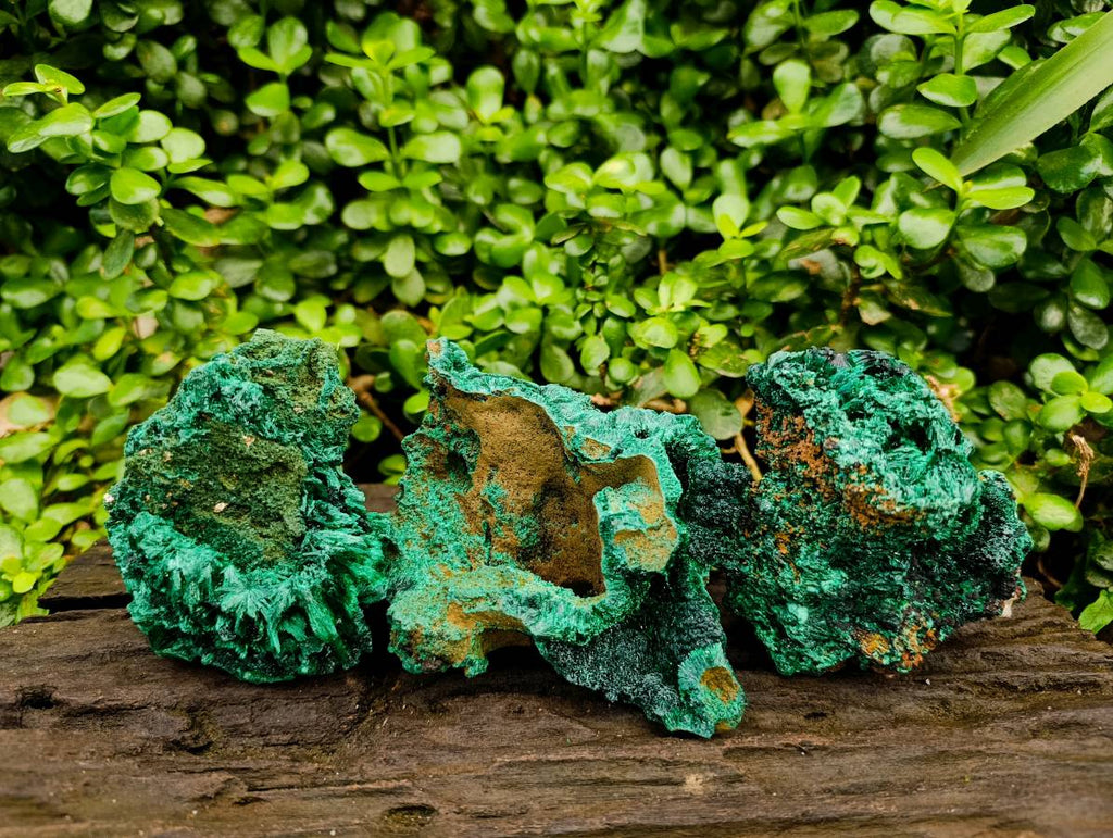 Natural Silky Malachite Specimens x 3 From Kasompe, Congo - Toprock Gemstones and Minerals 