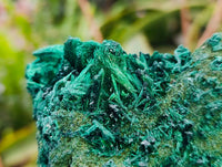 Natural Silky Malachite Specimens x 3 From Kasompe, Congo