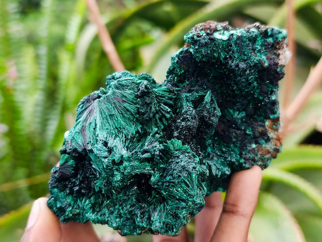 Natural Silky Malachite Specimens x 3 From Kasompe, Congo - Toprock Gemstones and Minerals 