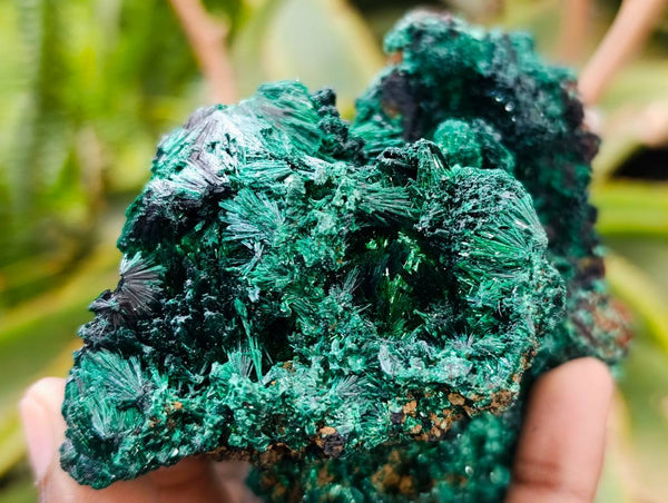 Natural Silky Malachite Specimens x 3 From Kasompe, Congo