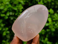Polished Rose Quartz Standing Free Forms x 4 From Madagascar