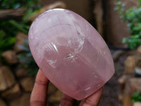 Polished Rose Quartz Standing Free Forms x 4 From Madagascar