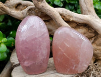 Polished Rose Quartz Standing Free Forms x 4 From Madagascar