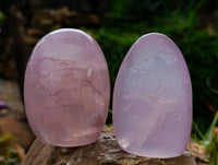 Polished Rose Quartz Standing Free Forms x 4 From Madagascar