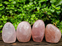 Polished Rose Quartz Standing Free Forms x 4 From Madagascar