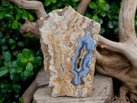 Polished On One Side Blue Lace Agate with Crazy Lace, Slices x 3 From Namibia