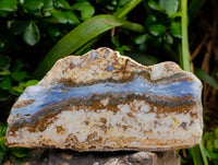Polished On One Side Blue Lace Agate with Crazy Lace, Slices x 3 From Namibia