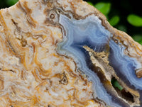 Polished On One Side Blue Lace Agate with Crazy Lace, Slices x 3 From Namibia
