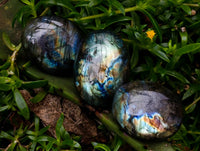 Polished Labradorite Galets x 20 From Tulear, Madagascar