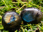 Polished Labradorite Galets x 20 From Tulear, Madagascar - Toprock Gemstones and Minerals 