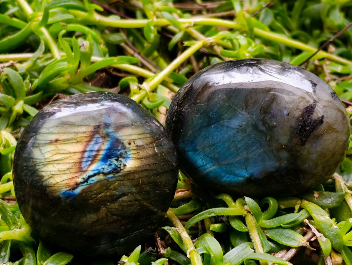 Polished Labradorite Galets x 20 From Tulear, Madagascar - Toprock Gemstones and Minerals 