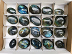 Polished Labradorite Galets x 20 From Tulear, Madagascar - Toprock Gemstones and Minerals 