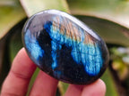Polished Labradorite Galets x 20 From Tulear, Madagascar - Toprock Gemstones and Minerals 