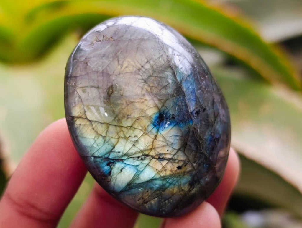 Polished Labradorite Galets x 20 From Tulear, Madagascar - Toprock Gemstones and Minerals 