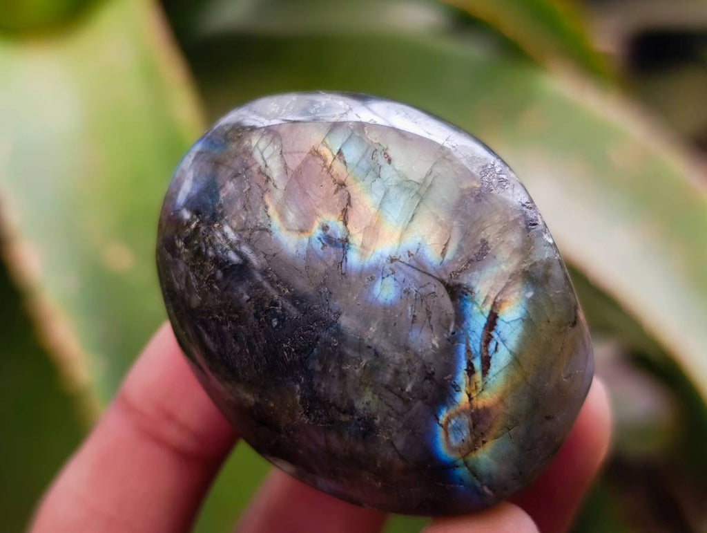 Polished Labradorite Galets x 20 From Tulear, Madagascar - Toprock Gemstones and Minerals 