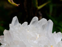 Natural Multi-Terminated Quartz Clusters x 12 From Madagascar