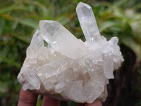 Natural Multi-Terminated Quartz Clusters x 12 From Madagascar