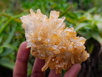 Natural Multi-Terminated Quartz Clusters x 12 From Madagascar