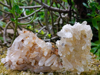 Natural Multi-Terminated Quartz Clusters x 12 From Madagascar