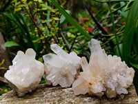 Natural Multi-Terminated Quartz Clusters x 12 From Madagascar