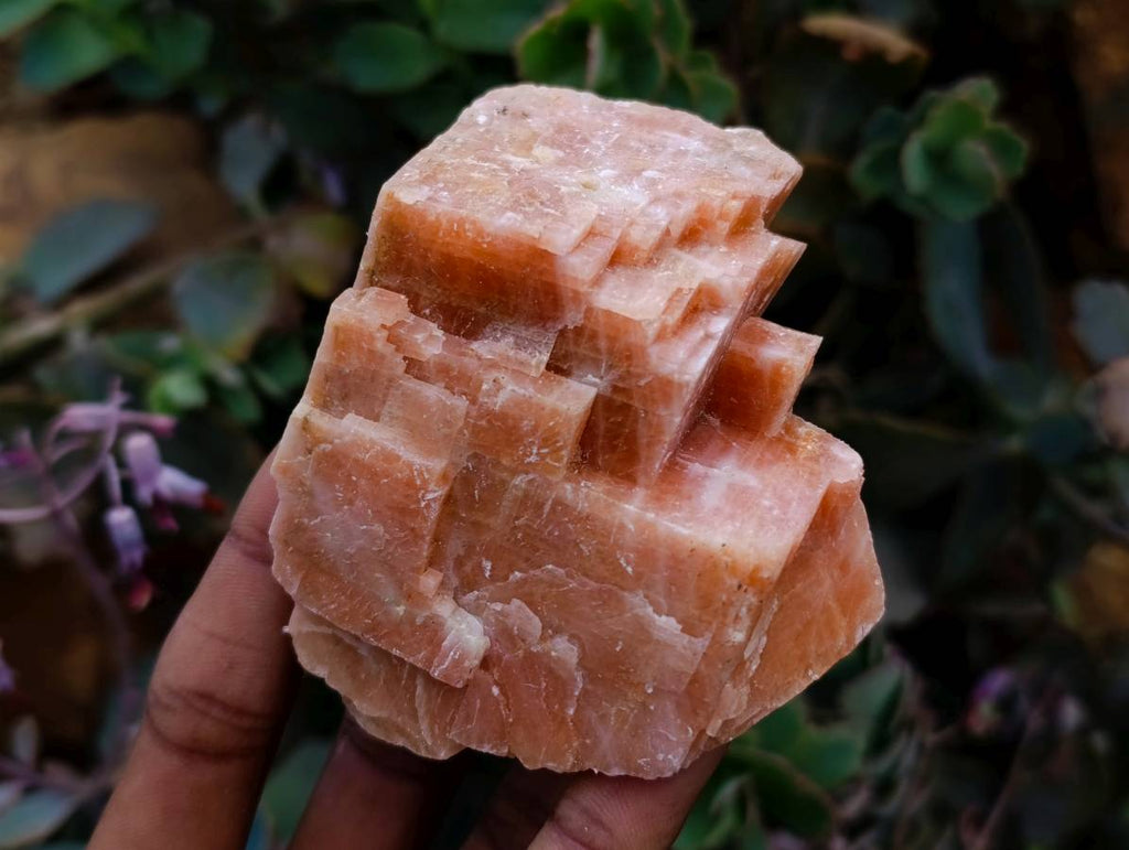 Natural Sunset Orange Calcite Specimens x 12 From Spitzkop, Namibia - Toprock Gemstones and Minerals 