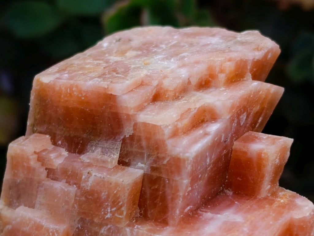 Natural Sunset Orange Calcite Specimens x 12 From Spitzkop, Namibia - Toprock Gemstones and Minerals 