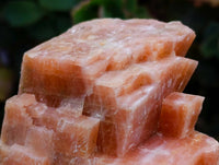 Natural Sunset Orange Calcite Specimens x 12 From Spitzkop, Namibia