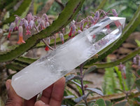 Polished Clear Quartz Crystals x 4 From Madagascar