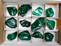 Polished Flower Banded Malachite Free Forms x 12 From Congo