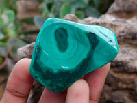 Polished Flower Banded Malachite Free Forms x 12 From Congo