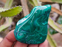 Polished Flower Banded Malachite Free Forms x 12 From Congo
