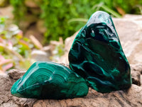 Polished Flower Banded Malachite Free Forms x 12 From Congo