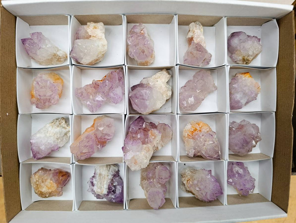 Natural Sunburst Cactus Flower Spirit Amethyst Crystals x 20 From Boekenhouthoek, South Africa - Toprock Gemstones and Minerals 