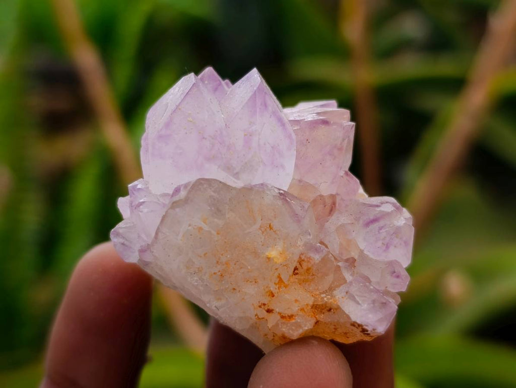 Natural Sunburst Cactus Flower Spirit Amethyst Crystals x 20 From Boekenhouthoek, South Africa - Toprock Gemstones and Minerals 