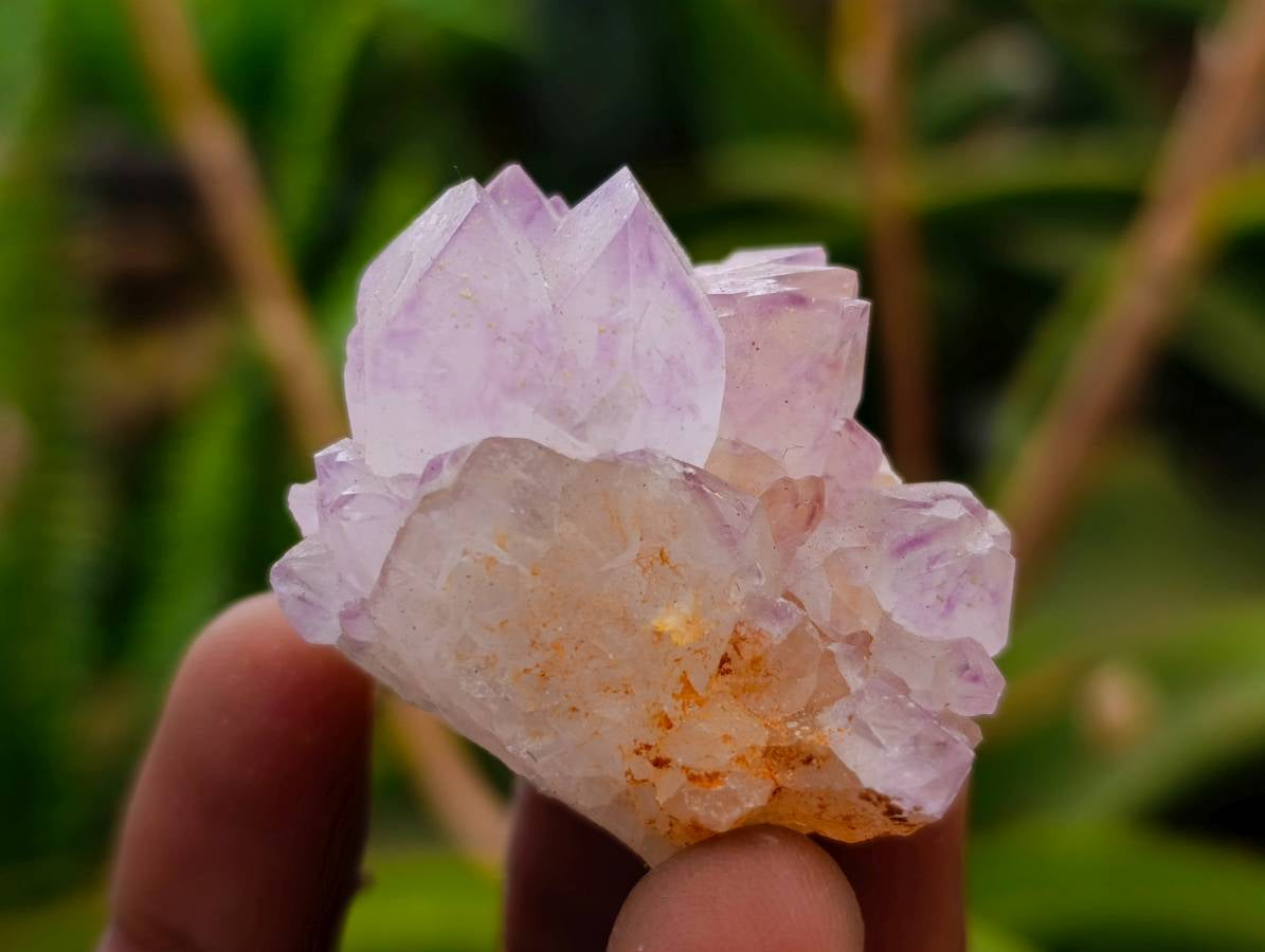 Natural Sunburst Cactus Flower Spirit Amethyst Crystals x 20 From Boekenhouthoek, South Africa - Toprock Gemstones and Minerals 