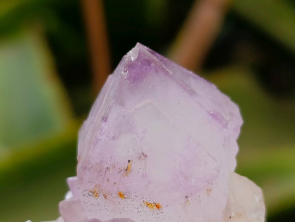 Natural Sunburst Cactus Flower Spirit Amethyst Crystals x 20 From Boekenhouthoek, South Africa - Toprock Gemstones and Minerals 
