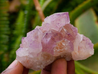 Natural Sunburst Cactus Flower Spirit Amethyst Crystals x 20 From Boekenhouthoek, South Africa