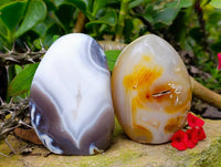 Polished Carnelian and Agate Standing Free Forms x 6 From Madagascar