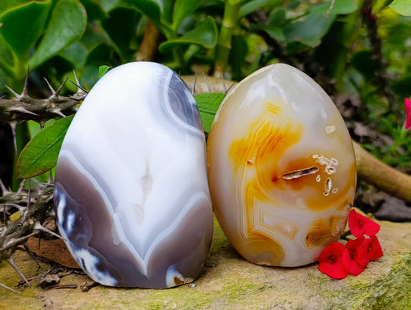 Polished Carnelian and Agate Standing Free Forms x 6 From Madagascar