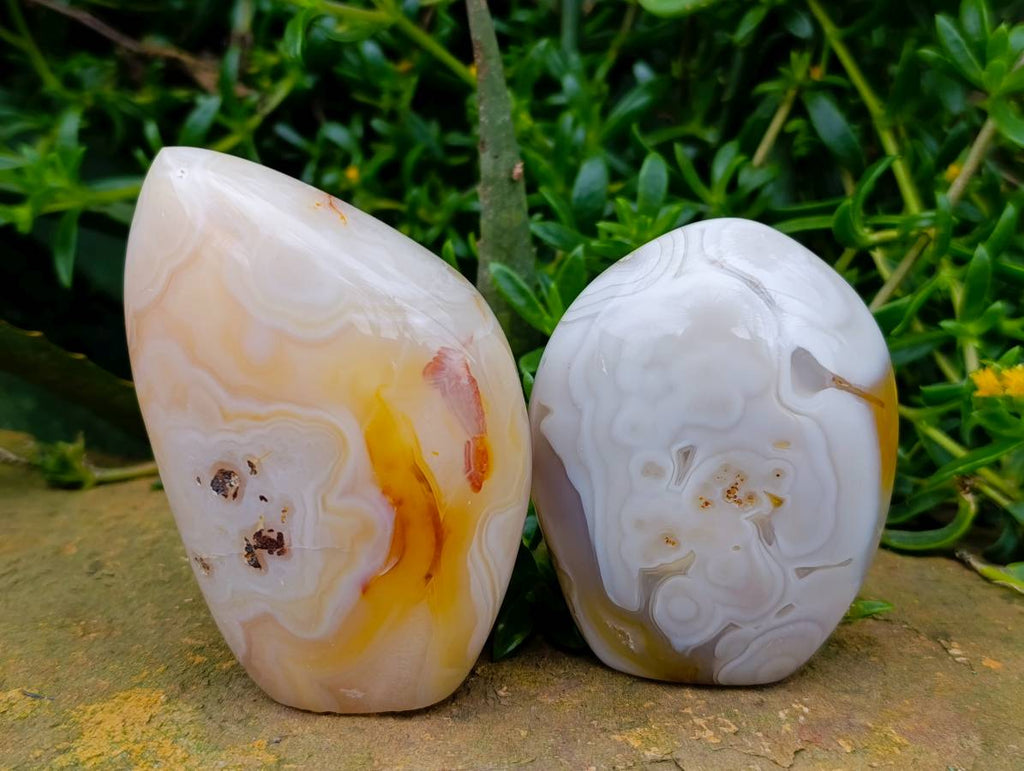 Polished Carnelian and Agate Standing Free Forms x 6 From Madagascar - Toprock Gemstones and Minerals 