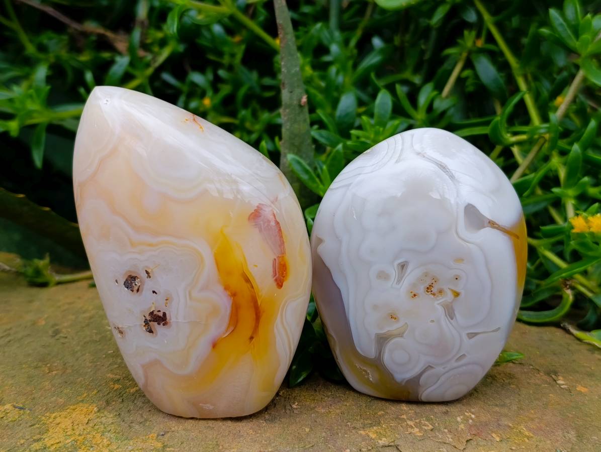 Polished Carnelian and Agate Standing Free Forms x 6 From Madagascar - Toprock Gemstones and Minerals 