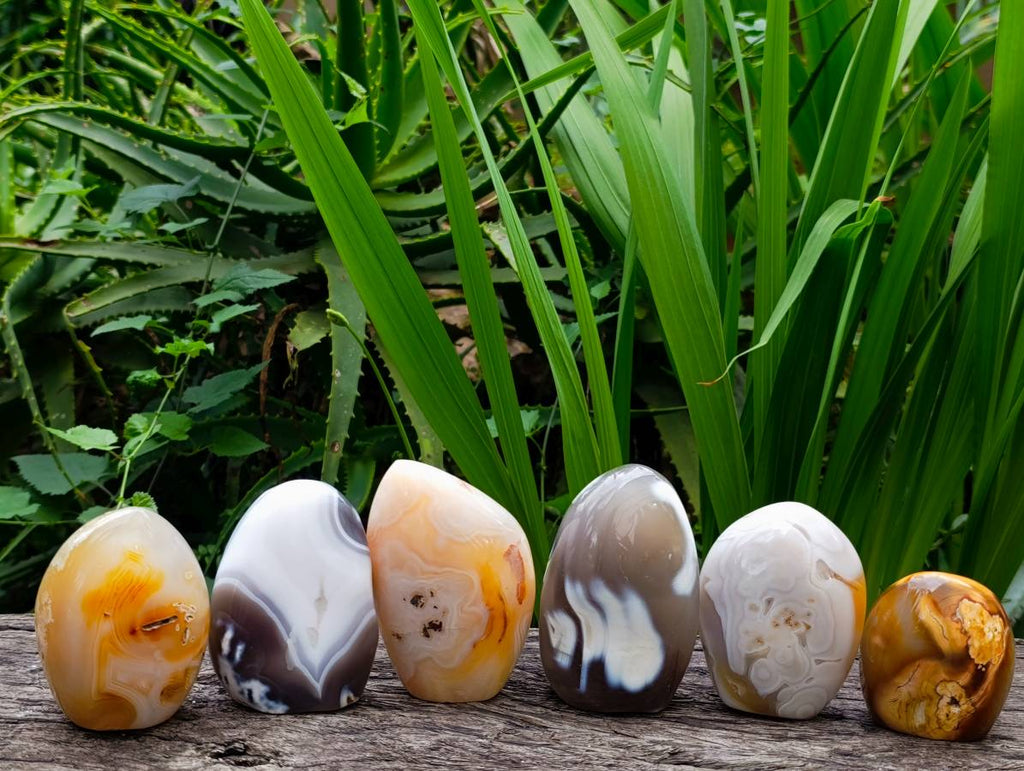 Polished Carnelian and Agate Standing Free Forms x 6 From Madagascar - Toprock Gemstones and Minerals 