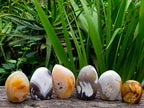 Polished Carnelian and Agate Standing Free Forms x 6 From Madagascar - Toprock Gemstones and Minerals 