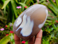 Polished Carnelian and Agate Standing Free Forms x 6 From Madagascar