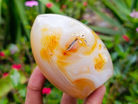 Polished Carnelian and Agate Standing Free Forms x 6 From Madagascar