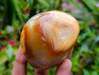 Polished Carnelian and Agate Standing Free Forms x 6 From Madagascar