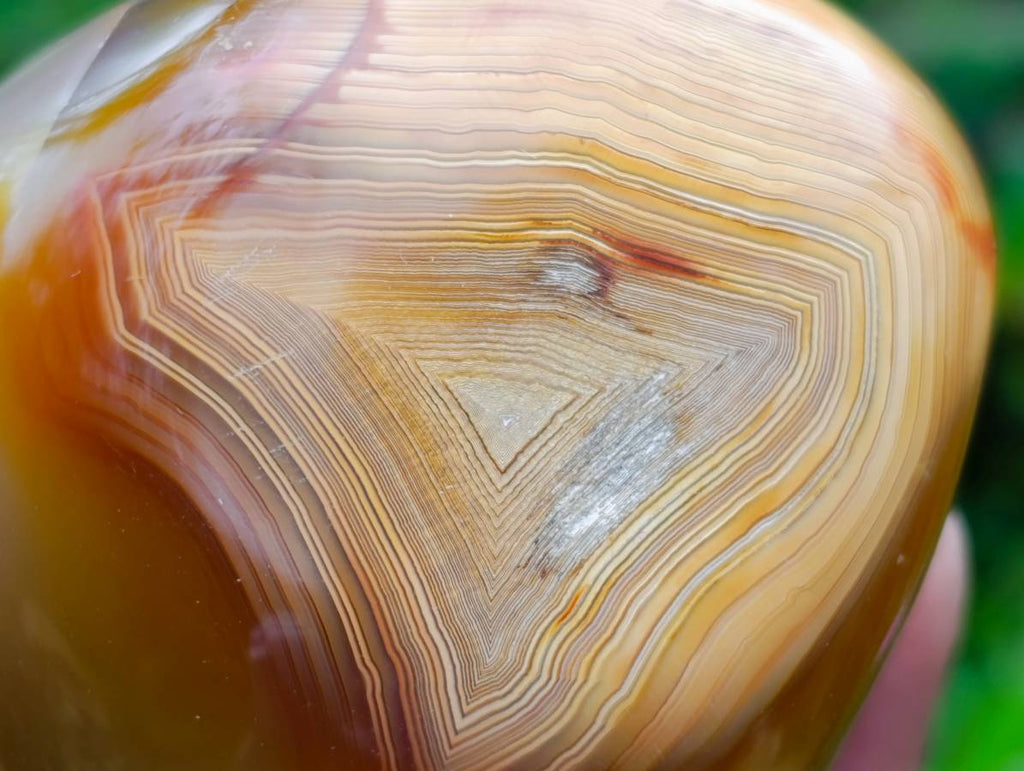Polished Carnelian and Agate Standing Free Forms x 6 From Madagascar - Toprock Gemstones and Minerals 